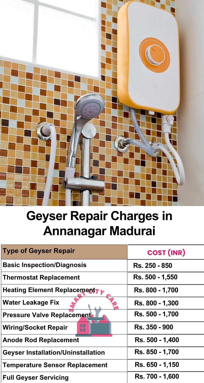 Comprehensive Geyser Electrical Appliance Repair Services in  Annanagar ,Madurai 