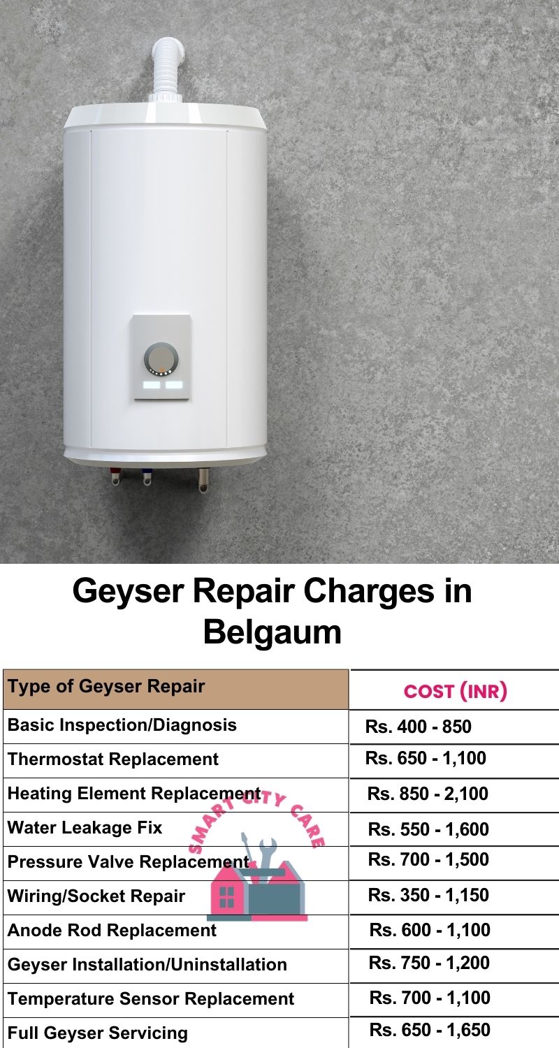 Comprehensive Geyser Electrical Appliance Repair Services in Belgaum