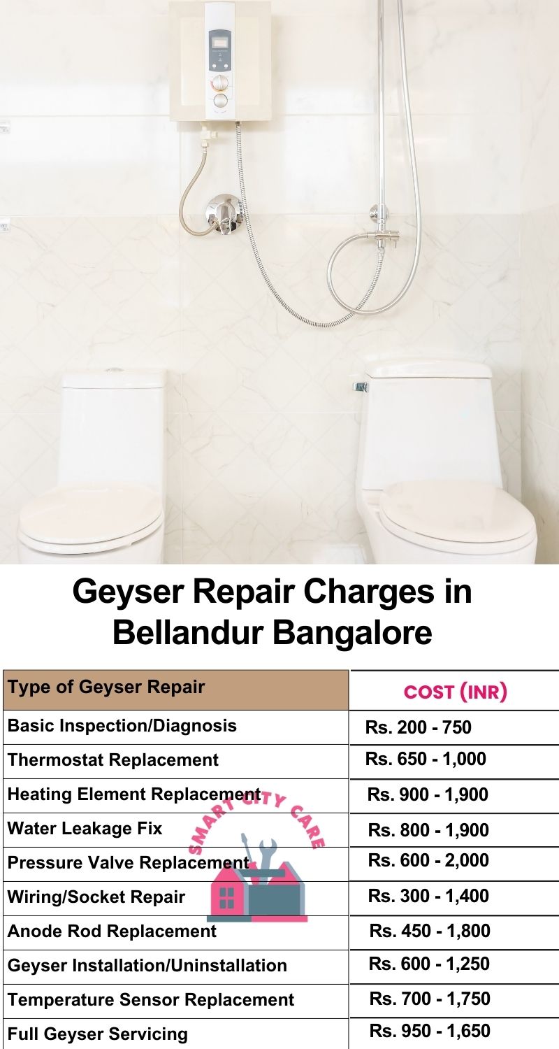 Comprehensive Geyser Electrical Appliance Repair Services in  Bellandur ,Bangalore 