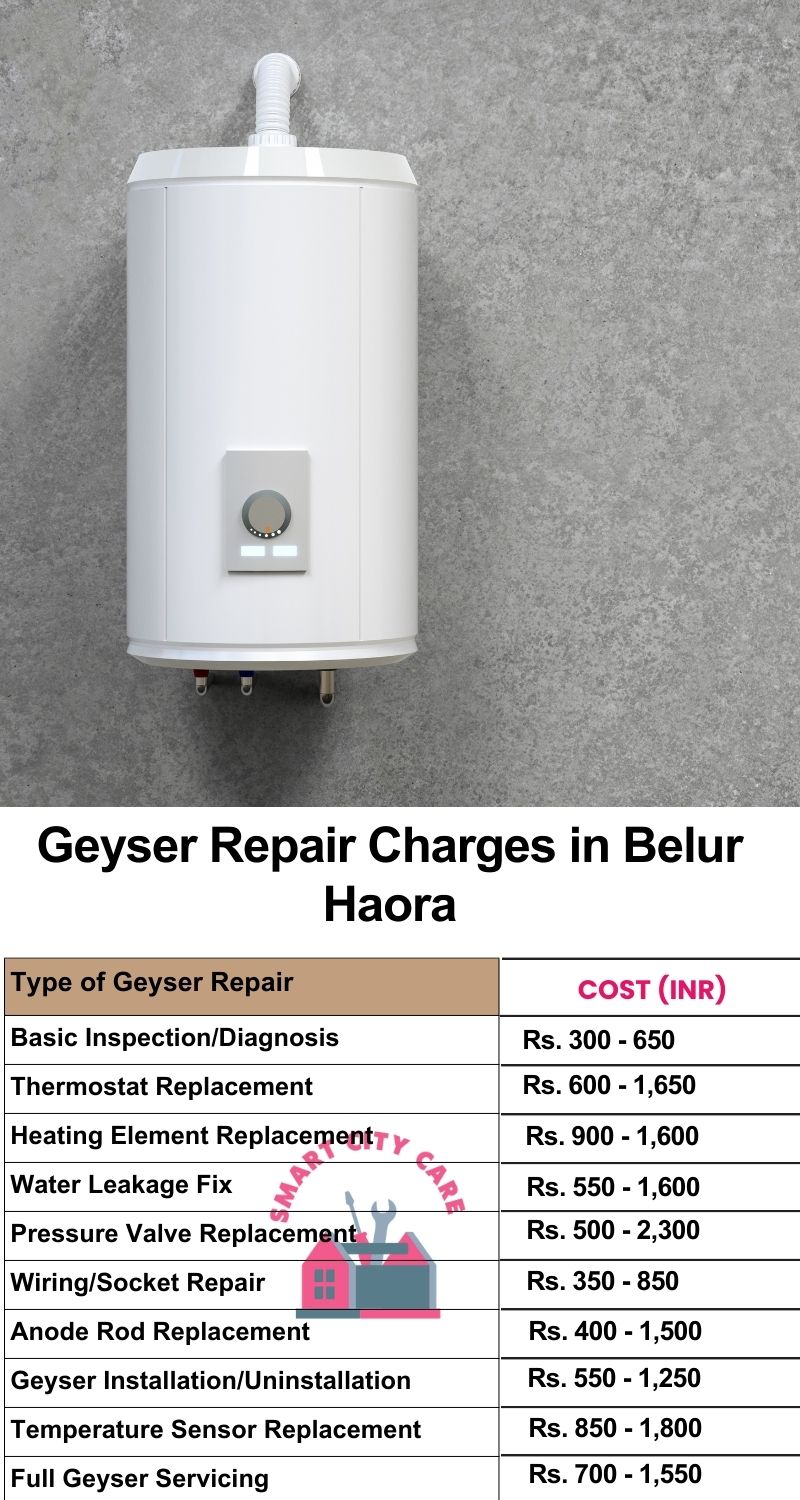 Comprehensive Geyser Electrical Appliance Repair Services in  Belur ,Haora 