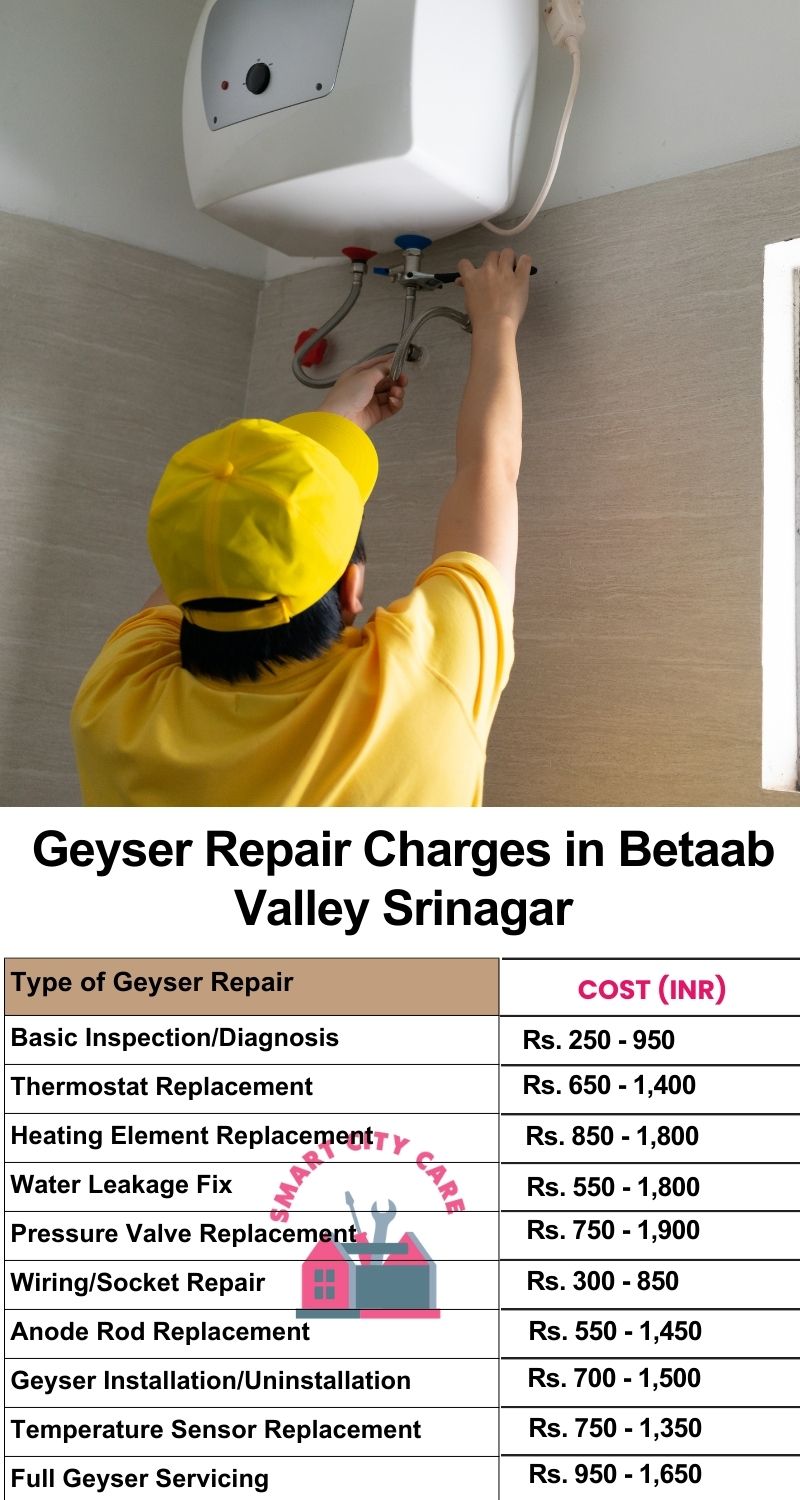 Comprehensive Geyser Electrical Appliance Repair Services in  Betaab Valley ,Srinagar 