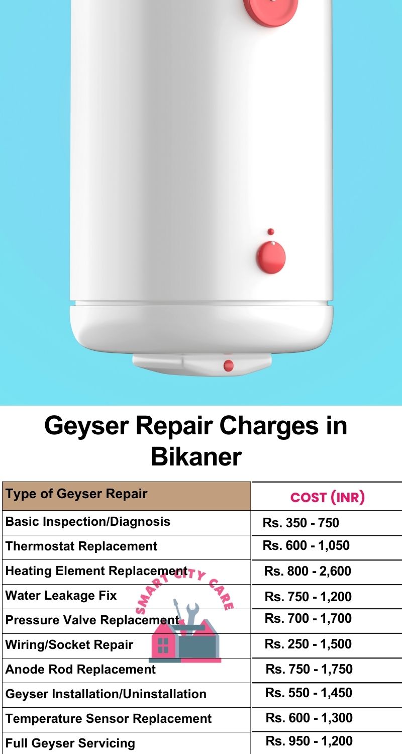 Comprehensive Geyser Electrical Appliance Repair Services in Bikaner