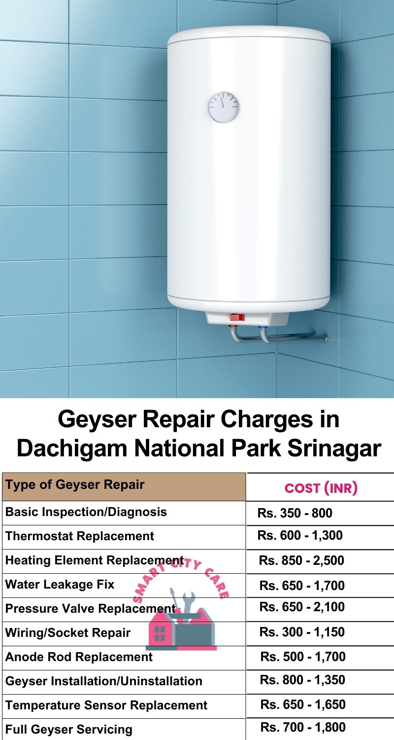 Comprehensive Geyser Electrical Appliance Repair Services in  Dachigam National Park ,Srinagar 