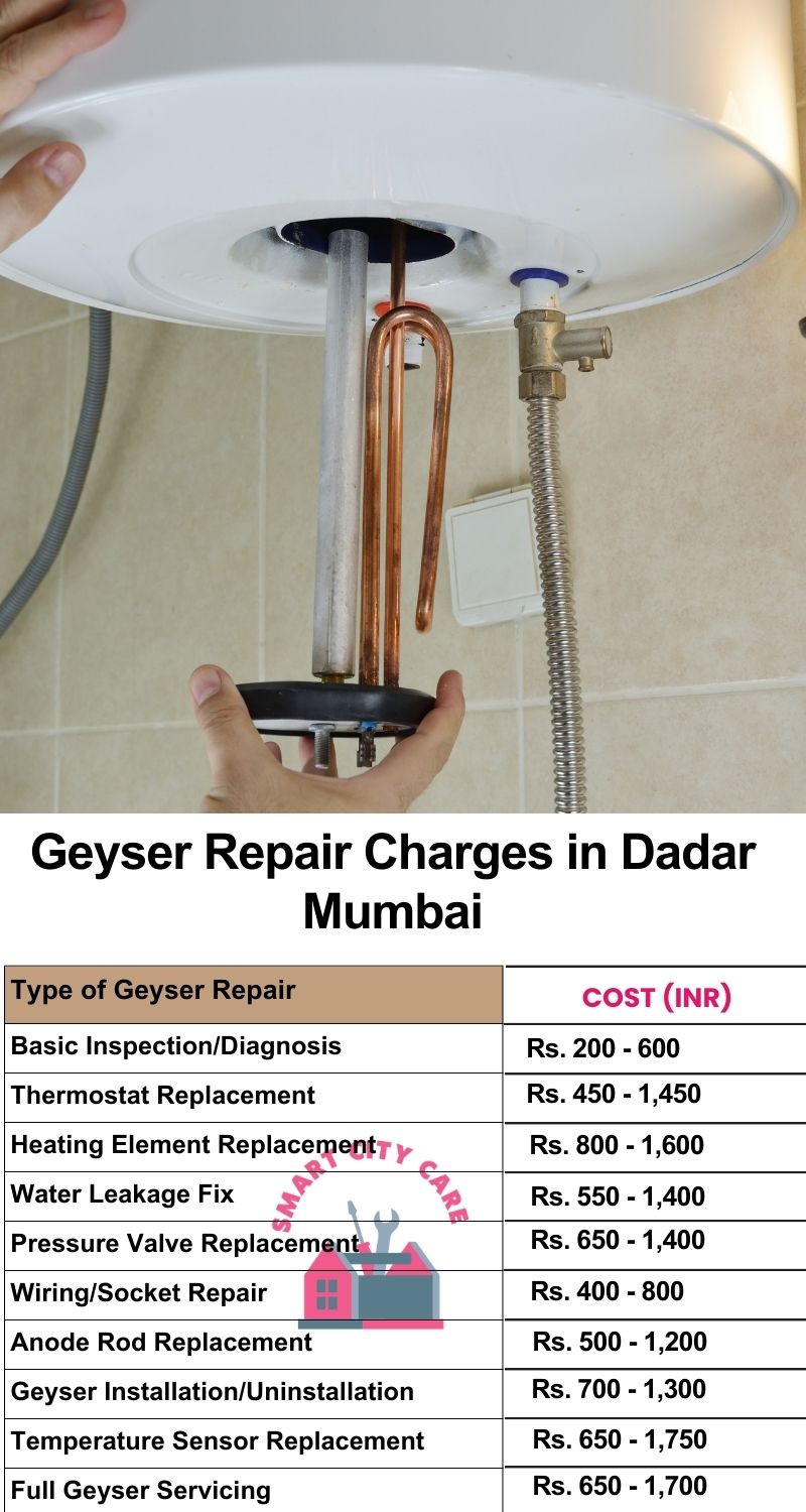 Comprehensive Geyser Electrical Appliance Repair Services in  Dadar ,Mumbai 