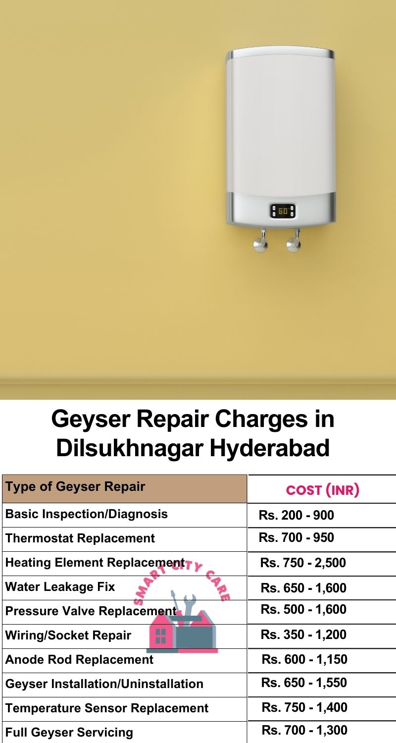 Comprehensive Geyser Electrical Appliance Repair Services in Dilsukhnagar ,Hyderabad