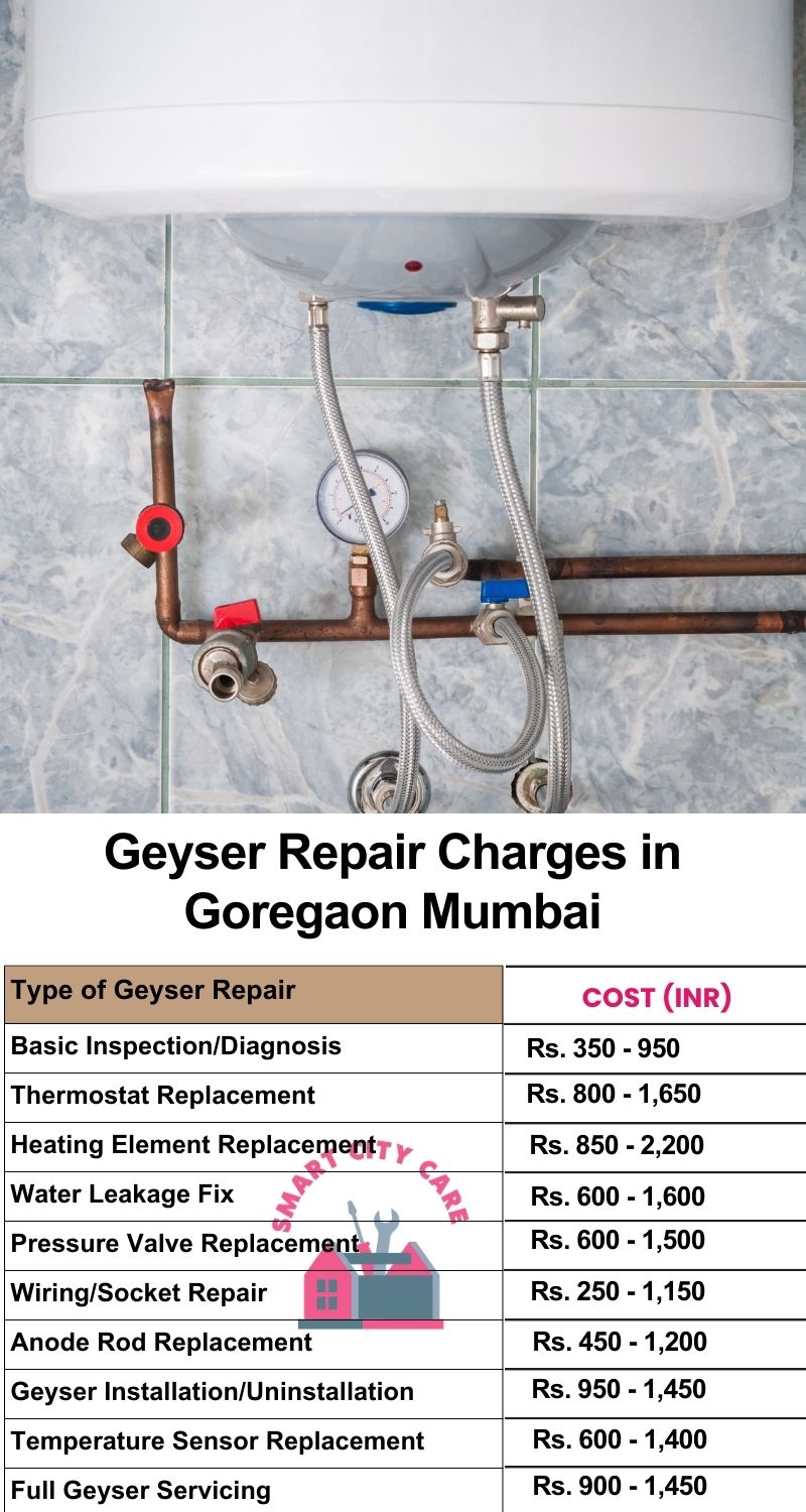 Comprehensive Geyser Electrical Appliance Repair Services in  Goregaon ,Mumbai 