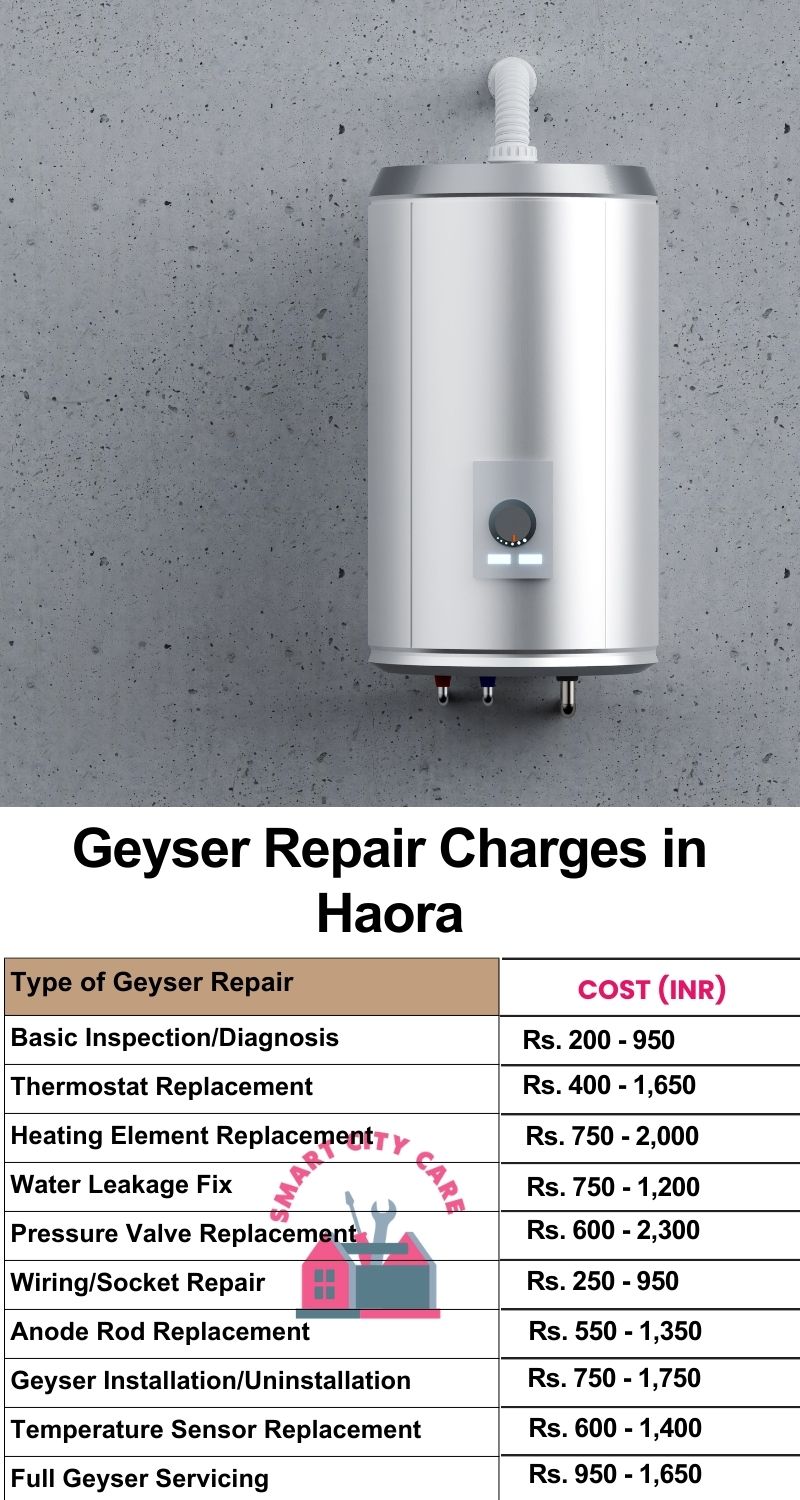 Comprehensive Geyser Electrical Appliance Repair Services in Haora