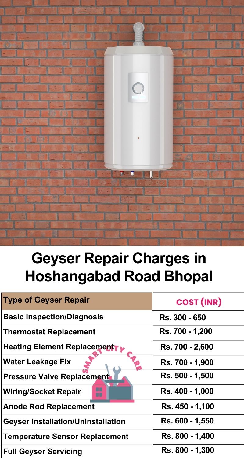 Comprehensive Geyser Electrical Appliance Repair Services in  Hoshangabad Road ,Bhopal 