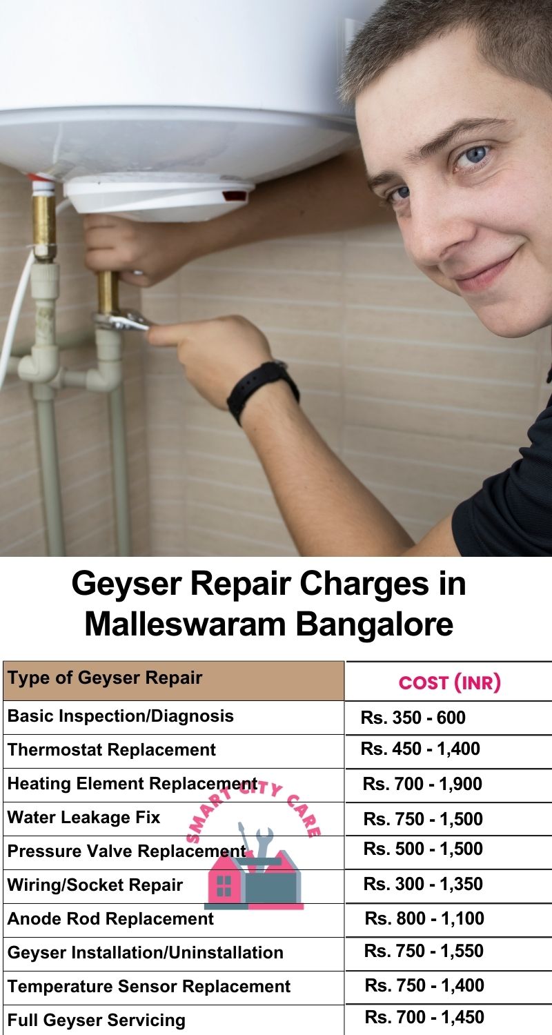 Comprehensive Geyser Electrical Appliance Repair Services in  Malleswaram ,Bangalore 