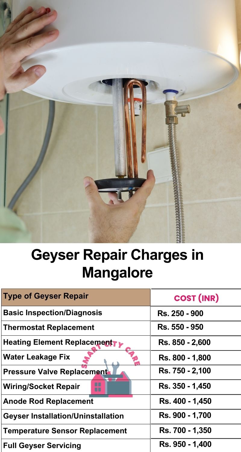 Comprehensive Geyser Electrical Appliance Repair Services in Mangalore