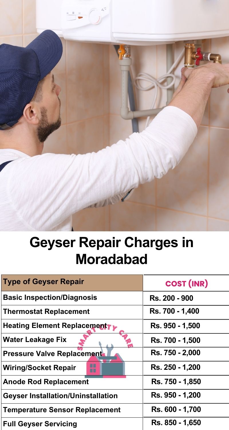 Comprehensive Geyser Electrical Appliance Repair Services in Moradabad