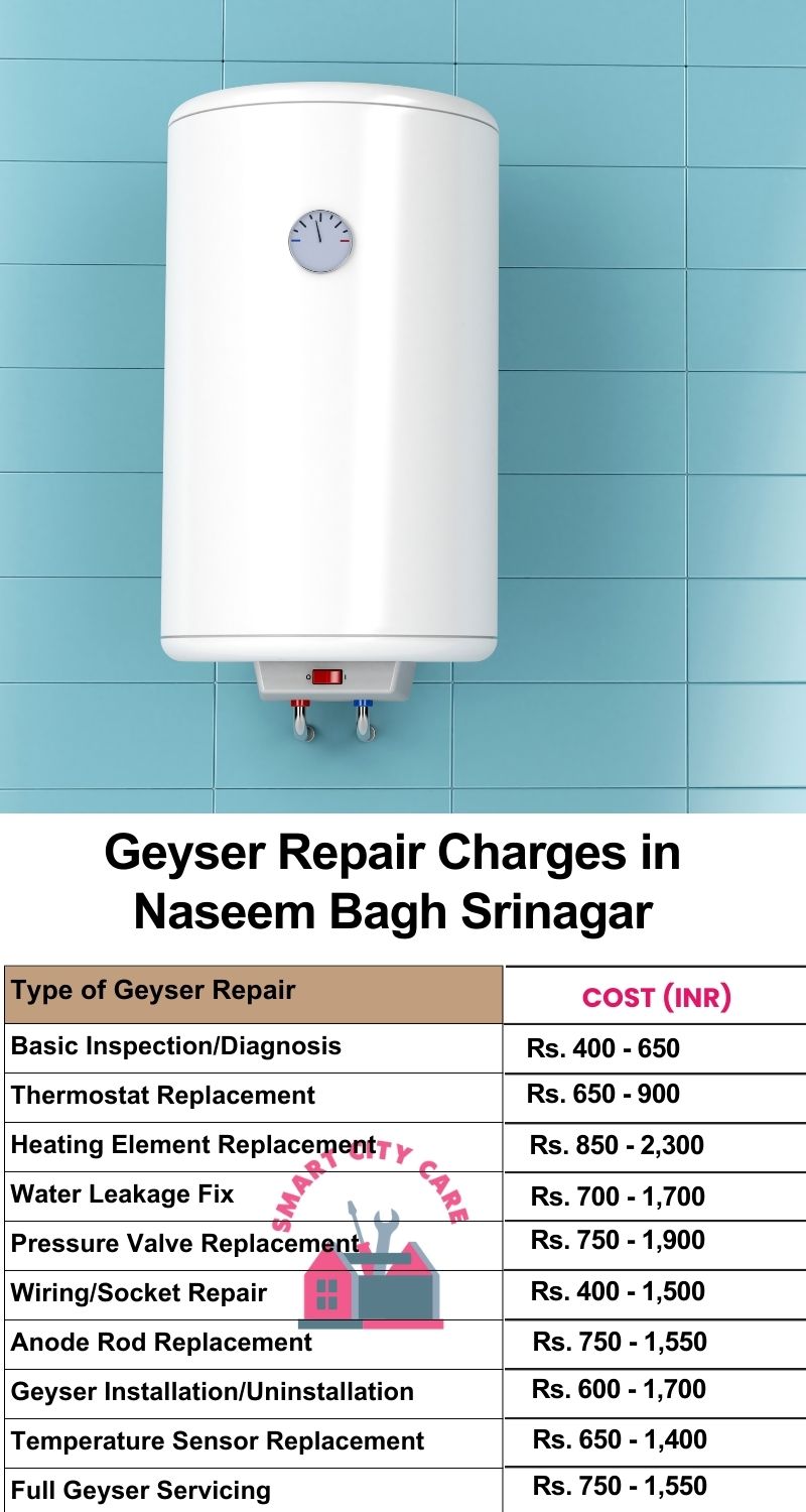 Comprehensive Geyser Electrical Appliance Repair Services in  Naseem Bagh ,Srinagar 