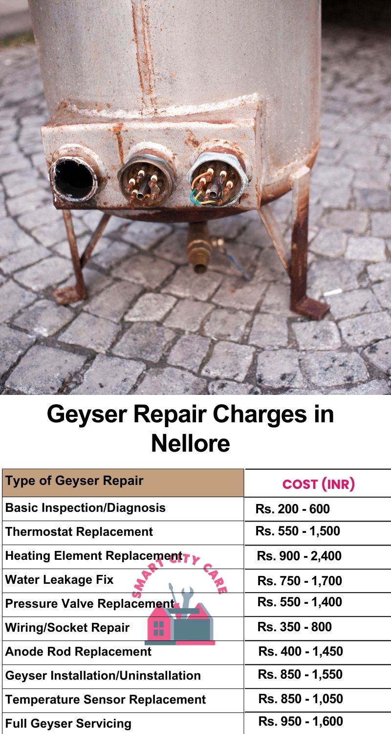 Comprehensive Geyser Electrical Appliance Repair Services in Nellore