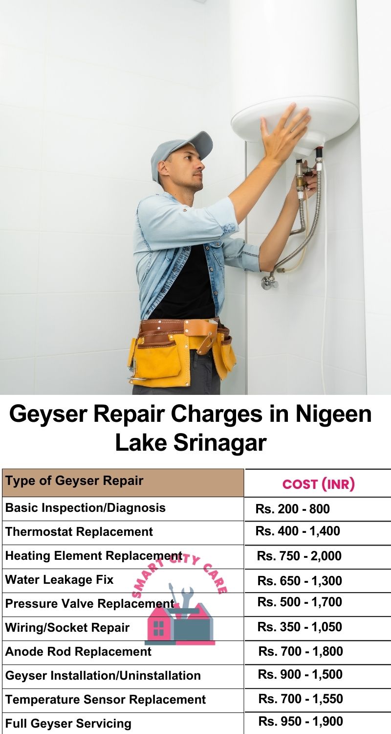 Comprehensive Geyser Electrical Appliance Repair Services in  Nigeen Lake ,Srinagar 