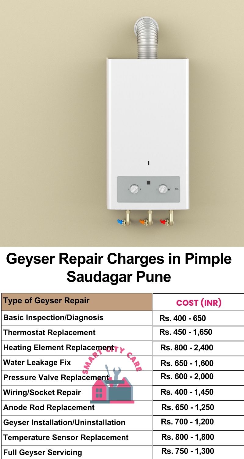 Comprehensive Geyser Electrical Appliance Repair Services in Pimple Saudagar ,Pune