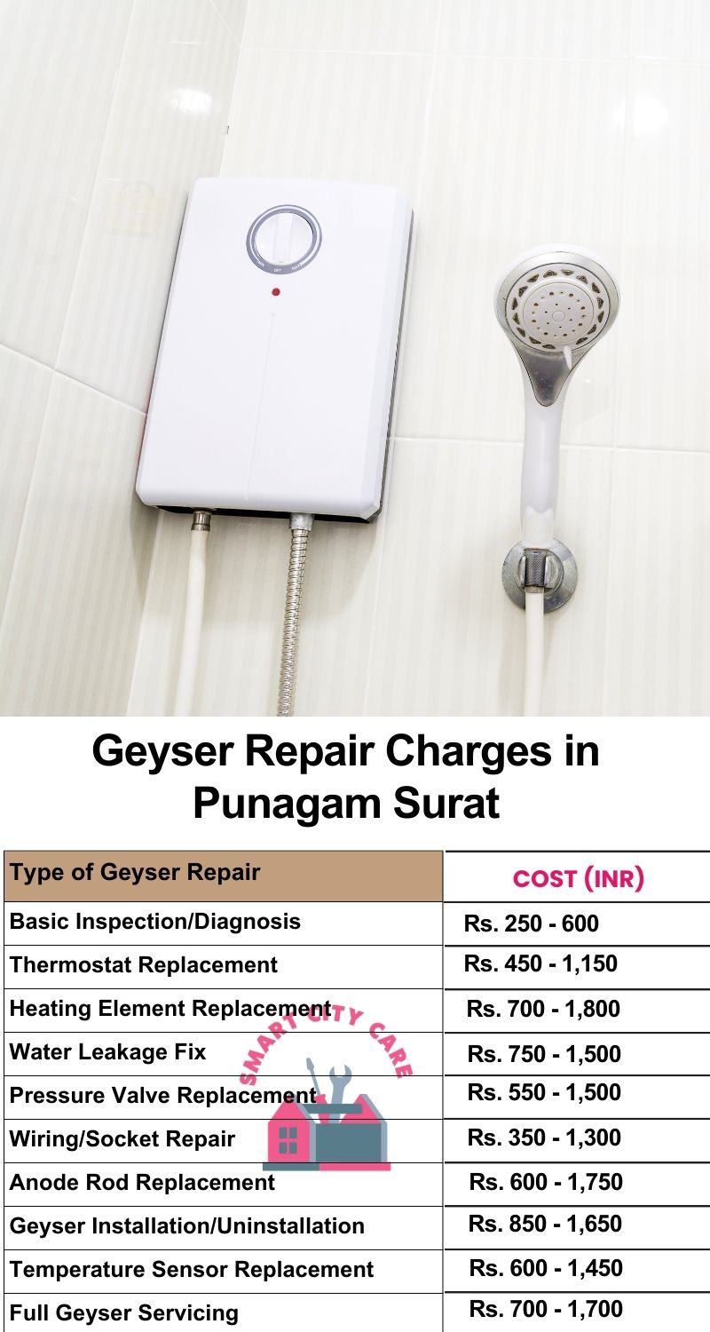 Comprehensive Geyser Electrical Appliance Repair Services in  Punagam ,Surat 