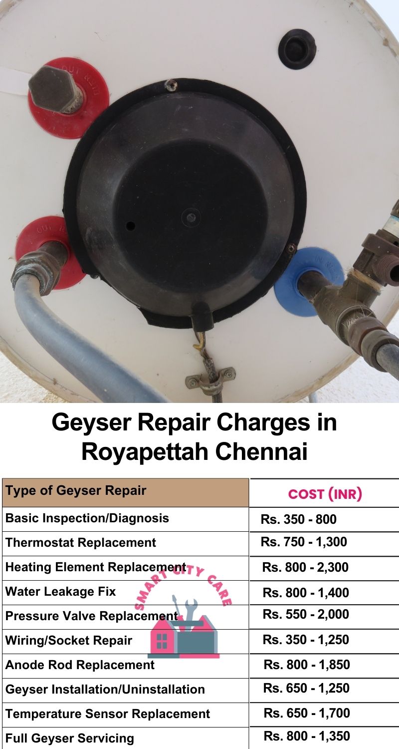 Comprehensive Geyser Electrical Appliance Repair Services in  Royapettah ,Chennai 