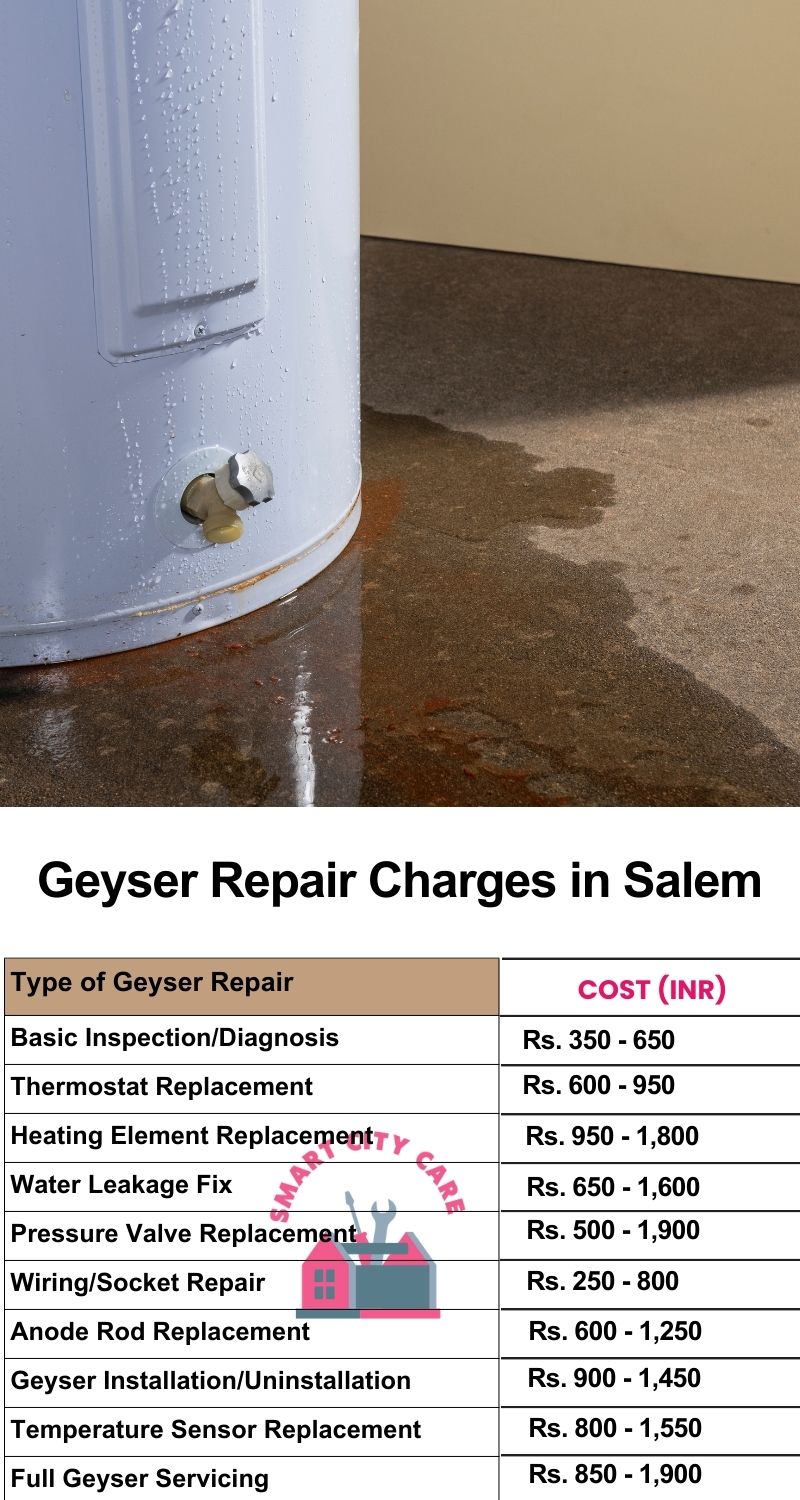 Comprehensive Geyser Electrical Appliance Repair Services in Salem