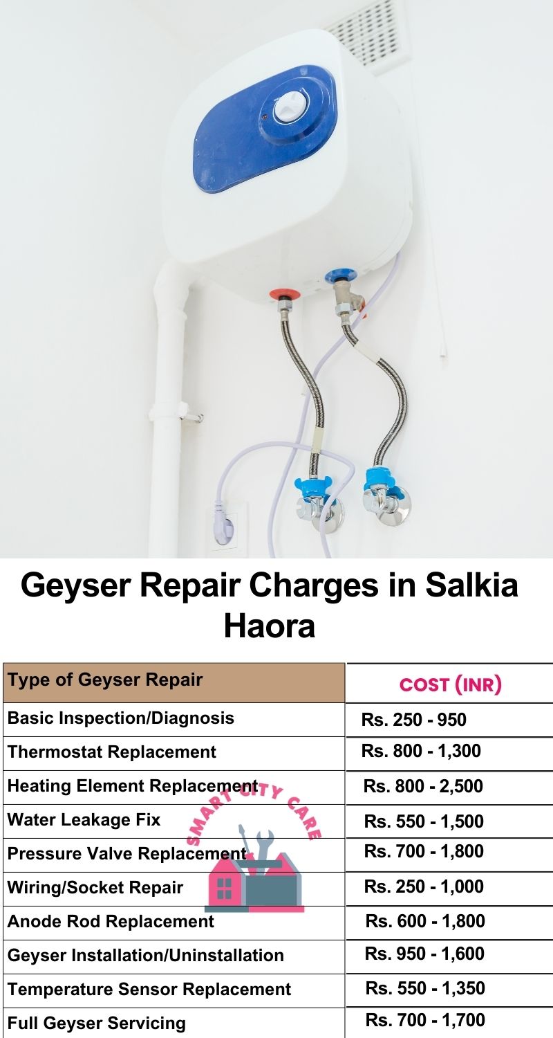 Comprehensive Geyser Electrical Appliance Repair Services in  Salkia ,Haora 