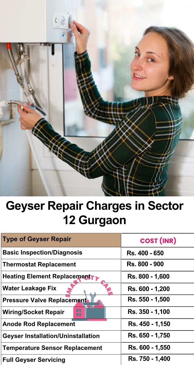 Comprehensive Geyser Electrical Appliance Repair Services in  Sector 12 ,Gurgaon 