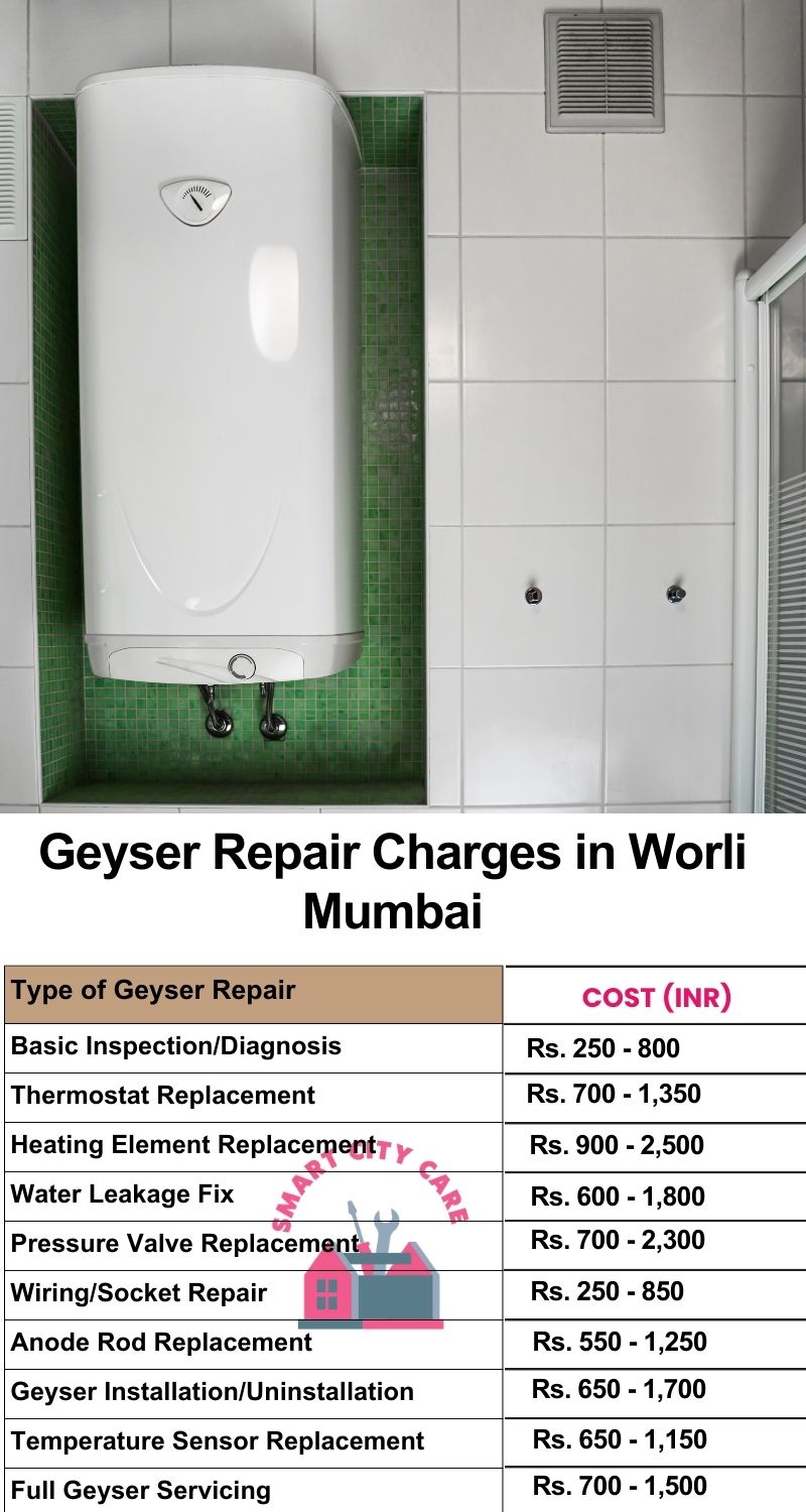 Comprehensive Geyser Electrical Appliance Repair Services in  Worli ,Mumbai 