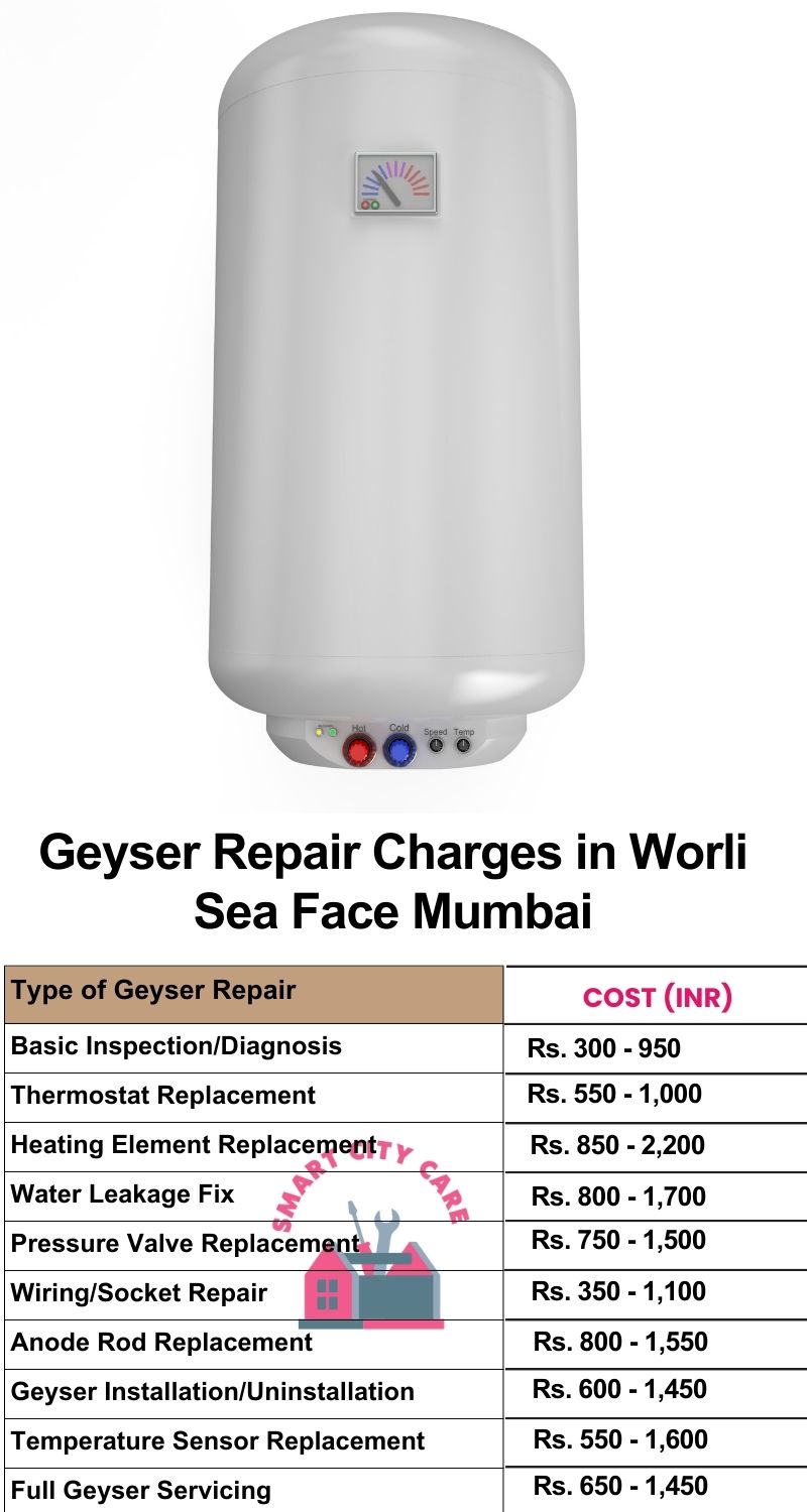 Comprehensive Geyser Electrical Appliance Repair Services in  Worli Sea Face ,Mumbai 