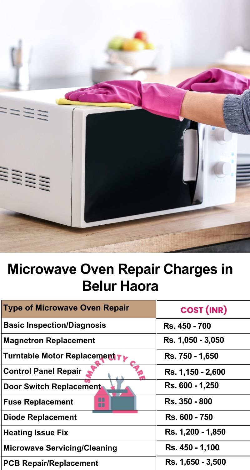 Microwave Repair Services Charges in  Belur ,Haora 