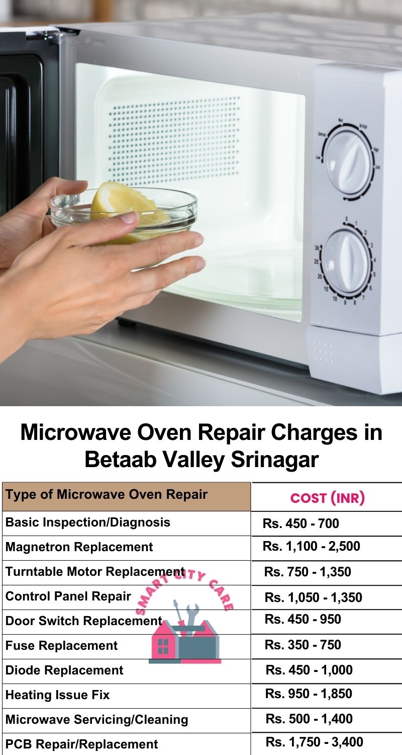 Microwave Repair Services Charges in  Betaab Valley ,Srinagar 