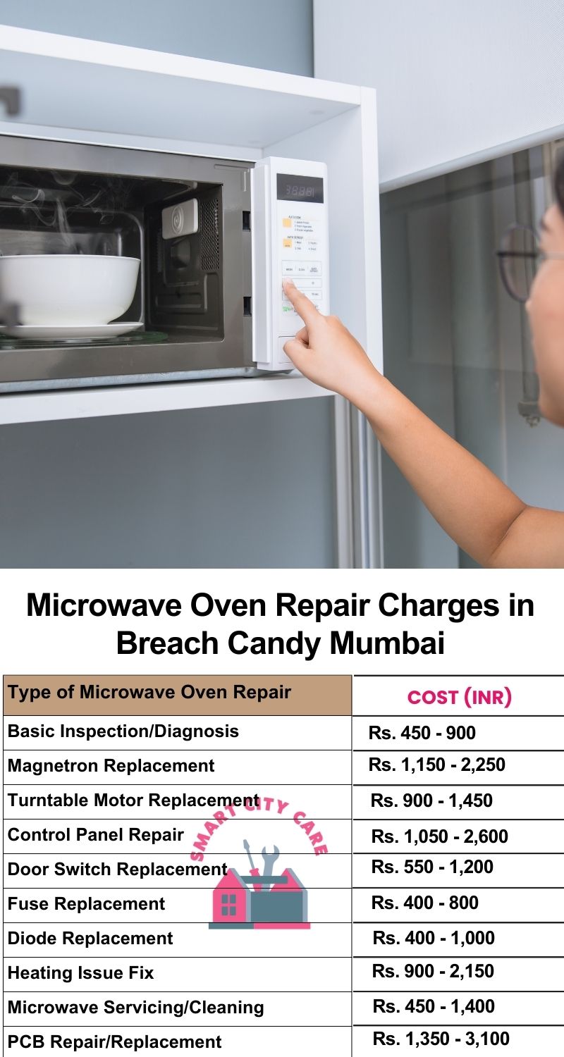 Microwave Repair Services Charges in Breach Candy ,Mumbai