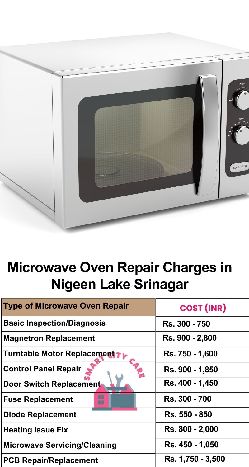 Microwave Repair Services Charges in  Nigeen Lake ,Srinagar 