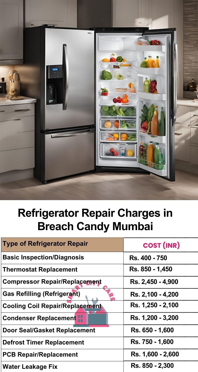 Refrigerator Repair Services Charges in Breach Candy ,Mumbai