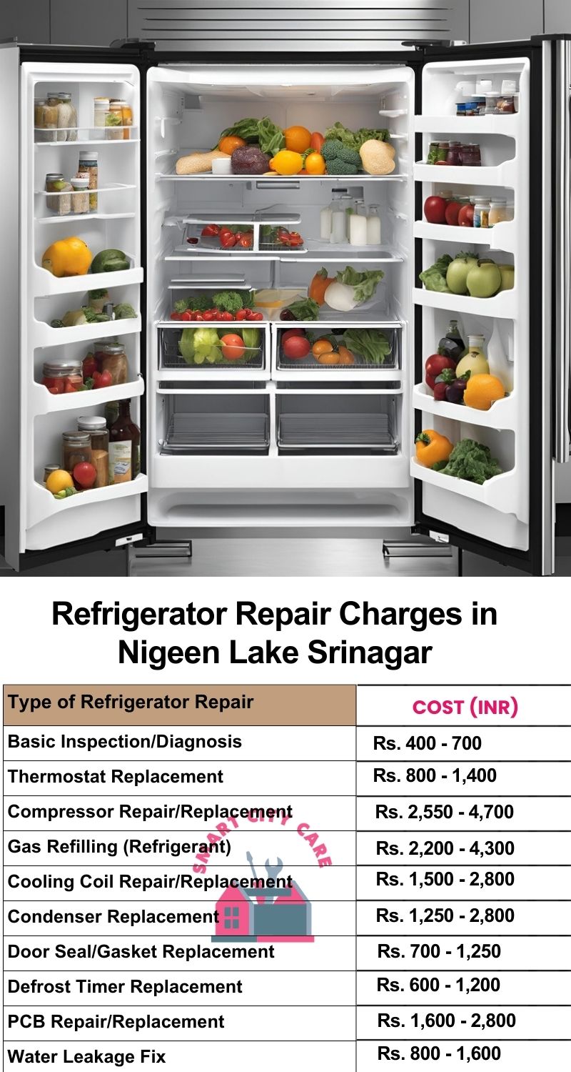 Refrigerator Repair Services Charges in  Nigeen Lake ,Srinagar 