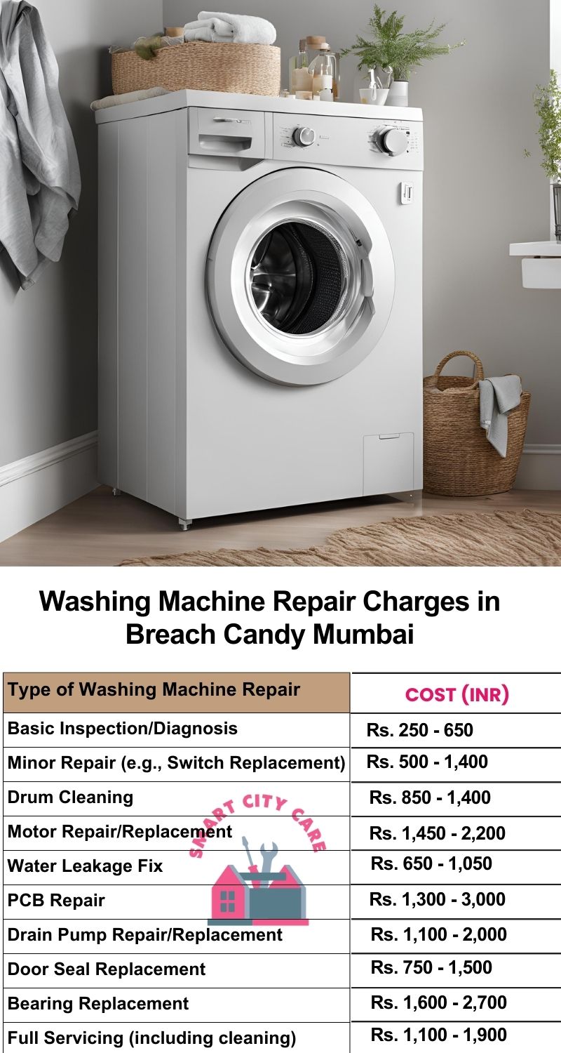 Washing Machine Repair Services Charges in Breach Candy ,Mumbai
